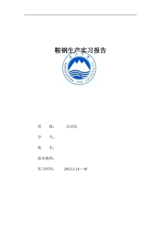 自动化鞍钢实习报告