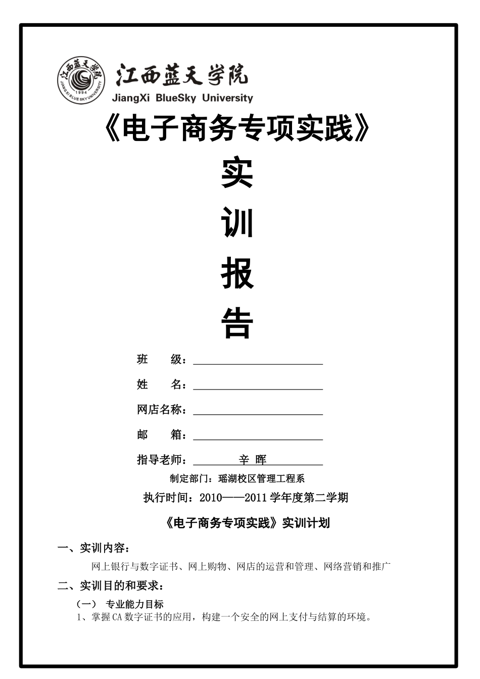 电子商务专项实践实训报告_第1页