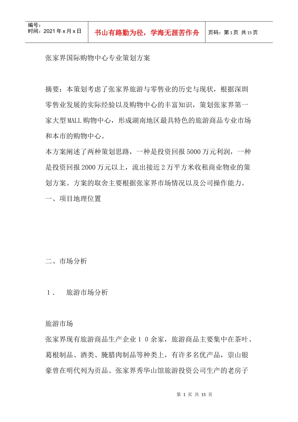 张家界国际购物中心专业策划方案_第1页