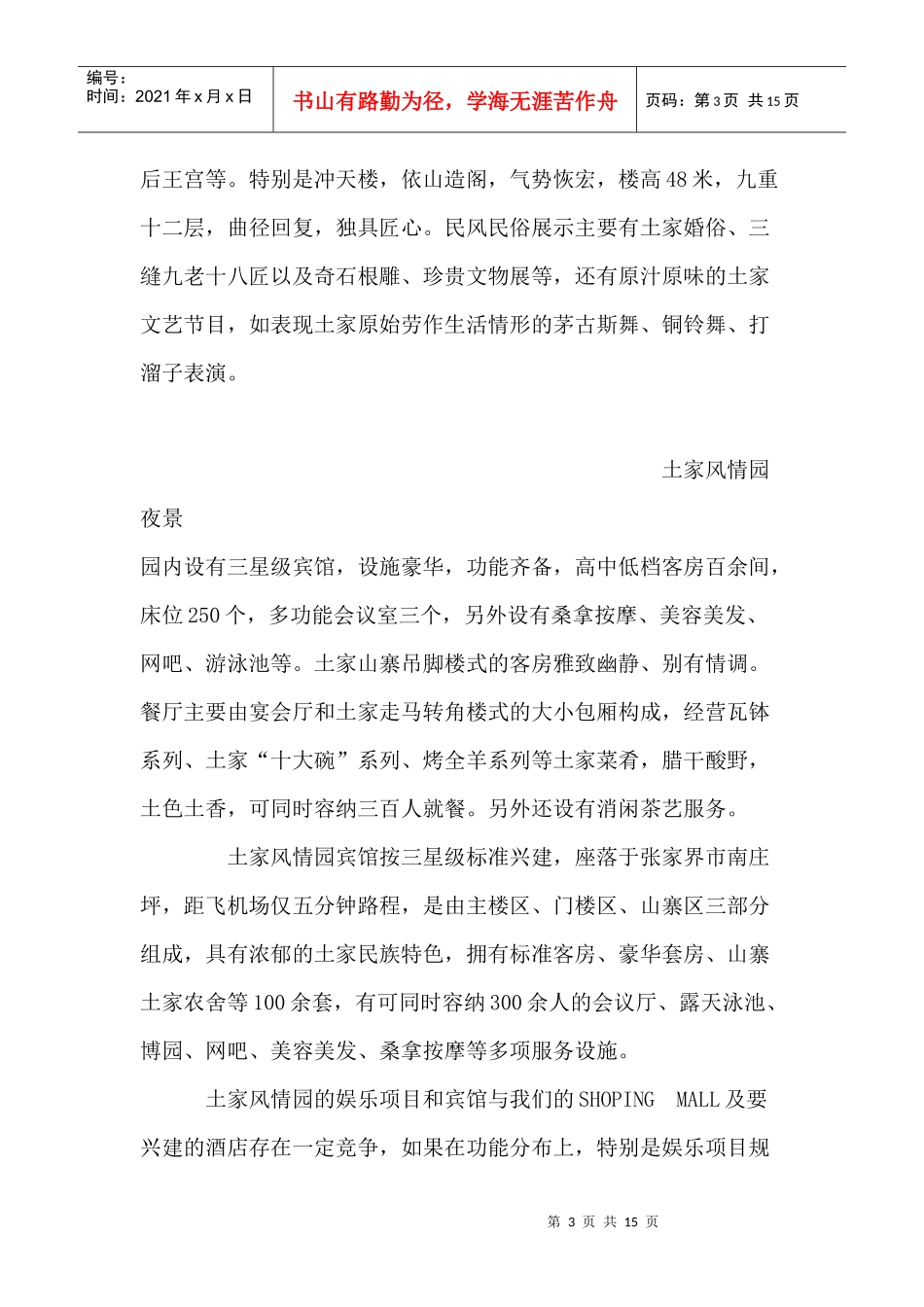 张家界国际购物中心专业策划方案_第3页
