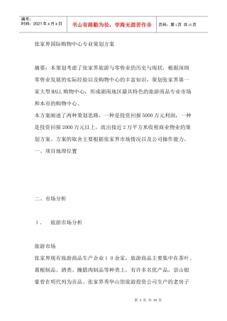 张家界国际购物中心专业策划方案