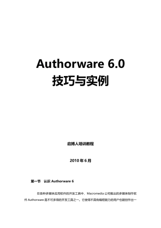 网站教程之Authorware6.0技巧及其实例