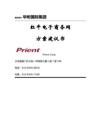 红牛电子饮料商务网方案建议书