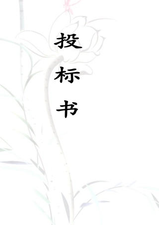 张丹丹31投标书