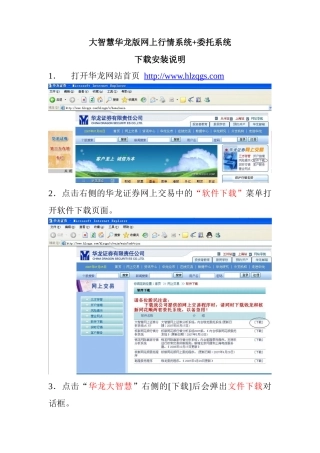 大智慧华龙版网上行情系统委托系统