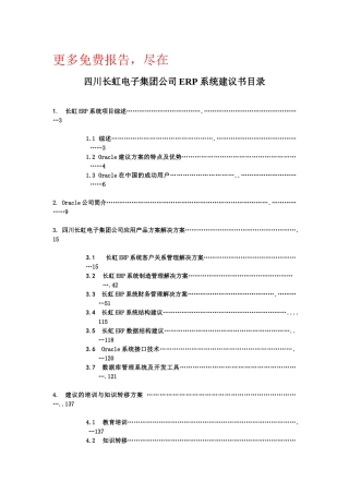 某咨询长虹ERP系统建议书