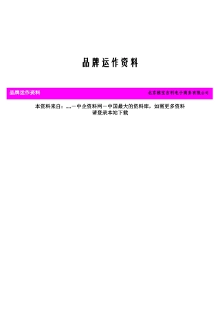 某电子商务公司的品牌运作资料