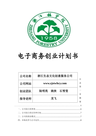 电商大赛文本模板09稿(省二等奖)