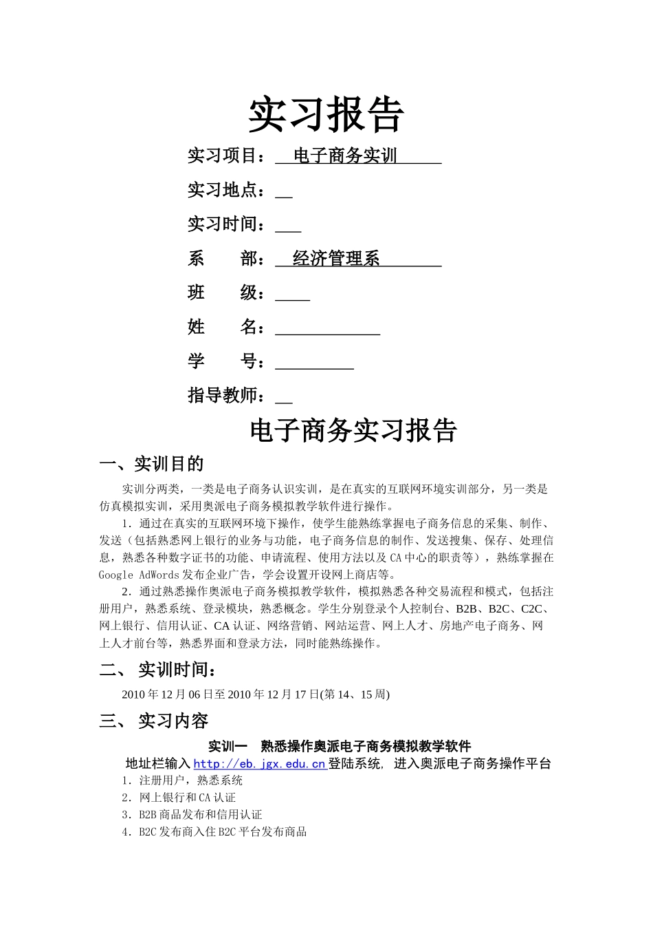 电子商务实训报告_第1页