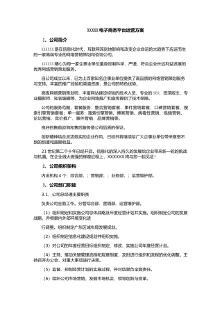 电子商务平台运营方案(DOC31页)