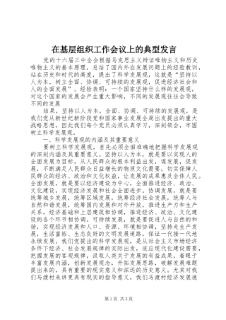 在基层组织工作会议上的典型发言稿
