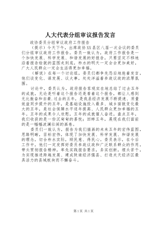 人大代表分组审议报告发言稿