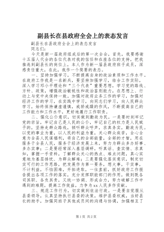 副县长在县政府全会上的表态发言稿
