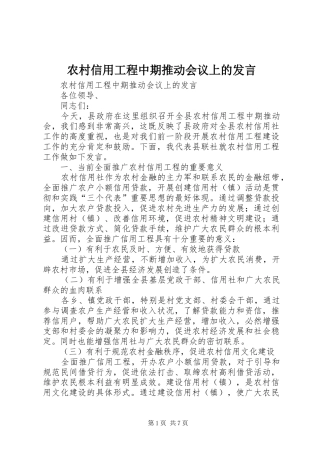 农村信用工程中期推动会议上的发言稿 (2)