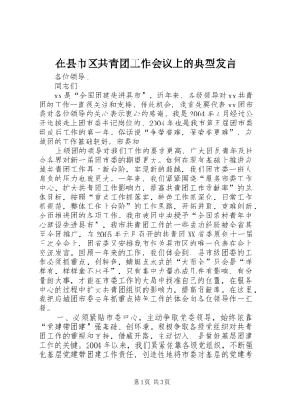 在县市区共青团工作会议上的典型发言稿