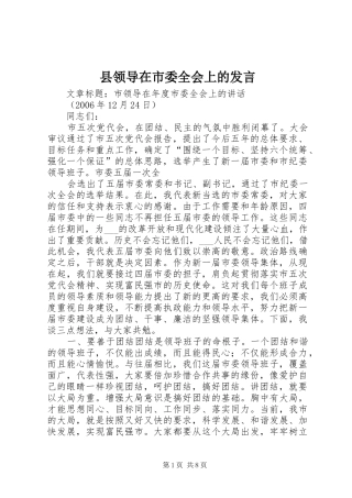 县领导在市委全会上的发言稿 (2)