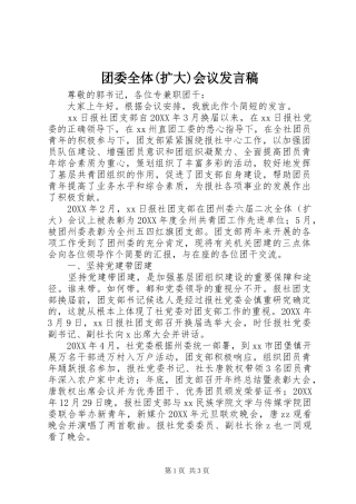 团委全体(扩大)会议发言