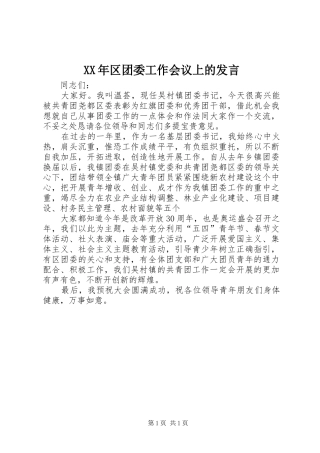 XX年区团委工作会议上的发言稿