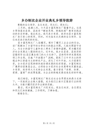 乡办制衣企业开业典礼乡领导演讲致辞