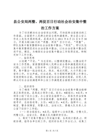 县公安局两整、两促百日行动社会治安集中整治工作方案