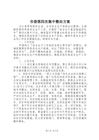市委第四次集中整治方案