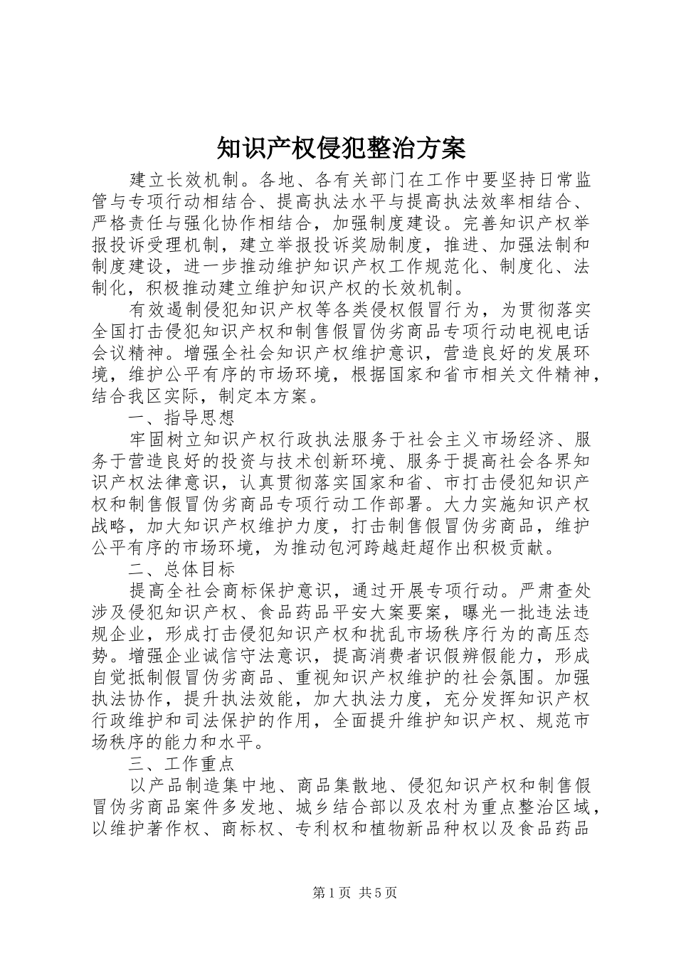 知识产权侵犯整治方案_第1页