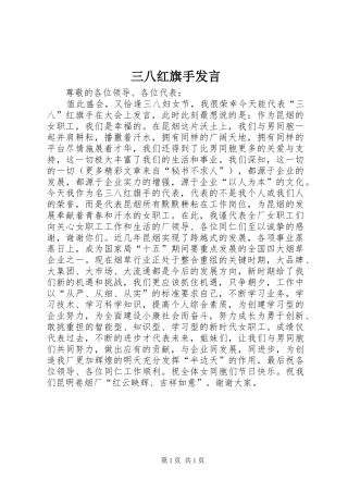 三八红旗手发言稿 (3)