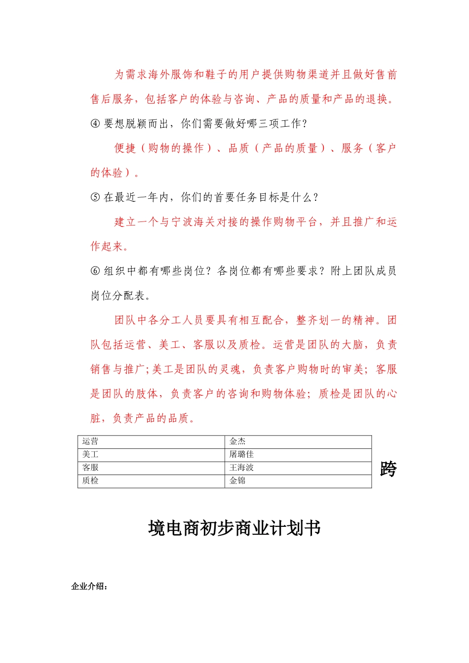 跨境电商初步发展计划_第2页