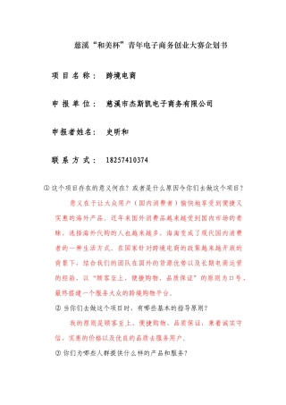 跨境电商初步发展计划