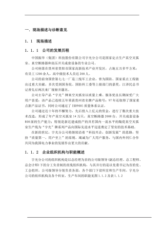 宇光ERP实施分析报告