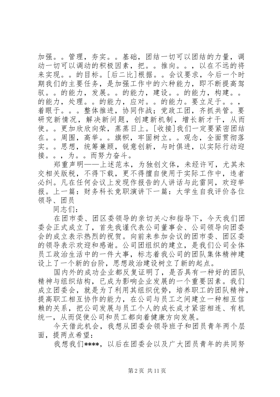 政府领导发言格式_第2页