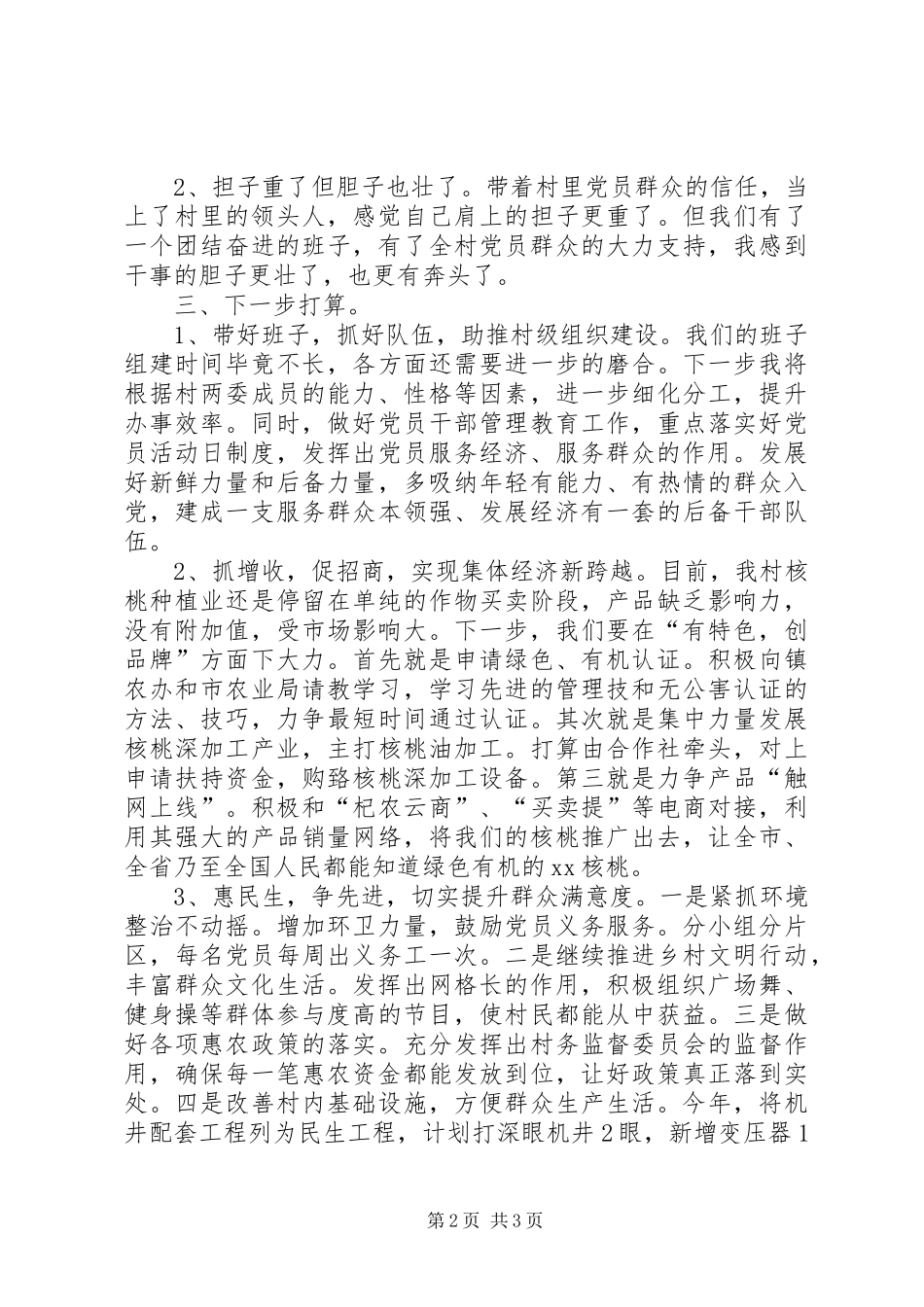 村支部书记发言_第2页