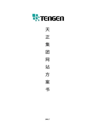 天正集团网站方案书