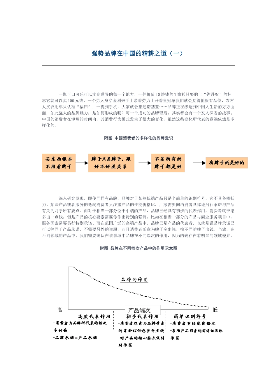 强势品牌在我国的精耕之道_第1页