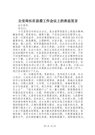 公安局长在县委工作会议上的表态发言稿