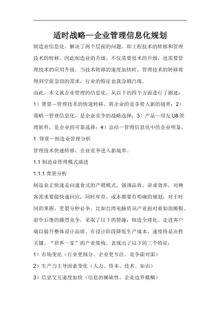 适时战略—企业管理信息化规划