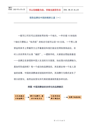 强势品牌在中国的精耕之道(doc 18页)