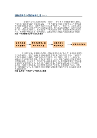 强势品牌在我国的精耕之道(doc 15页)