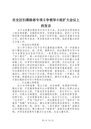 在全区扫黑除恶专项斗争领导小组扩大会议上的发言稿