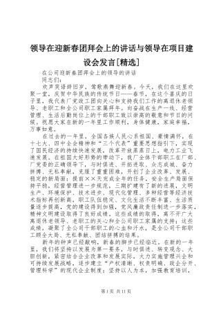 领导在迎新春团拜会上的讲话与领导在项目建设会发言稿[精选]