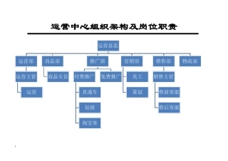 电子商务运营部企业组织结构及岗位职责