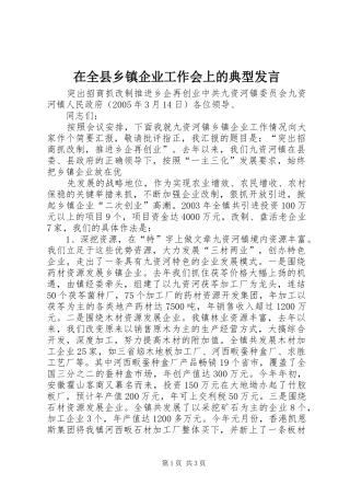 在全县乡镇企业工作会上的典型发言稿 (3)