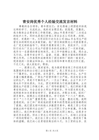 青安岗优秀个人经验交流发言材料提纲范文