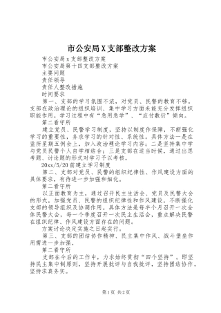 市公安局X支部整改方案