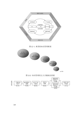 第十二章知识管理咨询工具