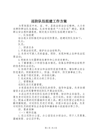 巡防队伍组建工作方案