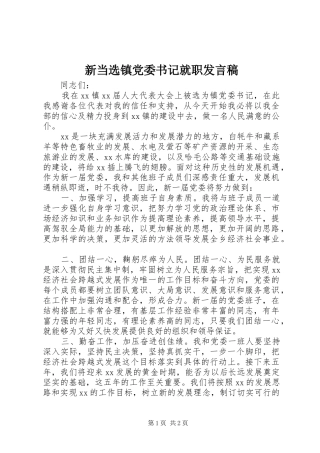 新当选镇党委书记就职发言