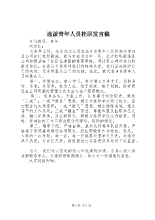选派青年人员挂职发言