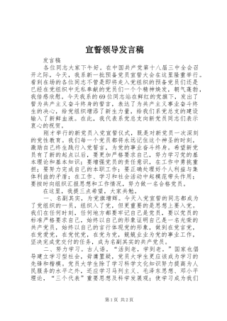 宣誓领导发言