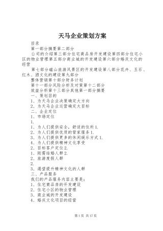 天马企业策划方案